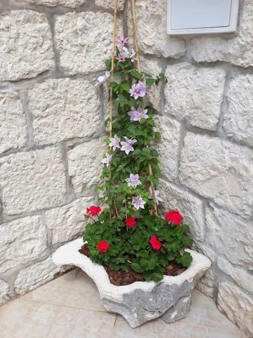 Villa Sweet Home Mokošica エクステリア 写真