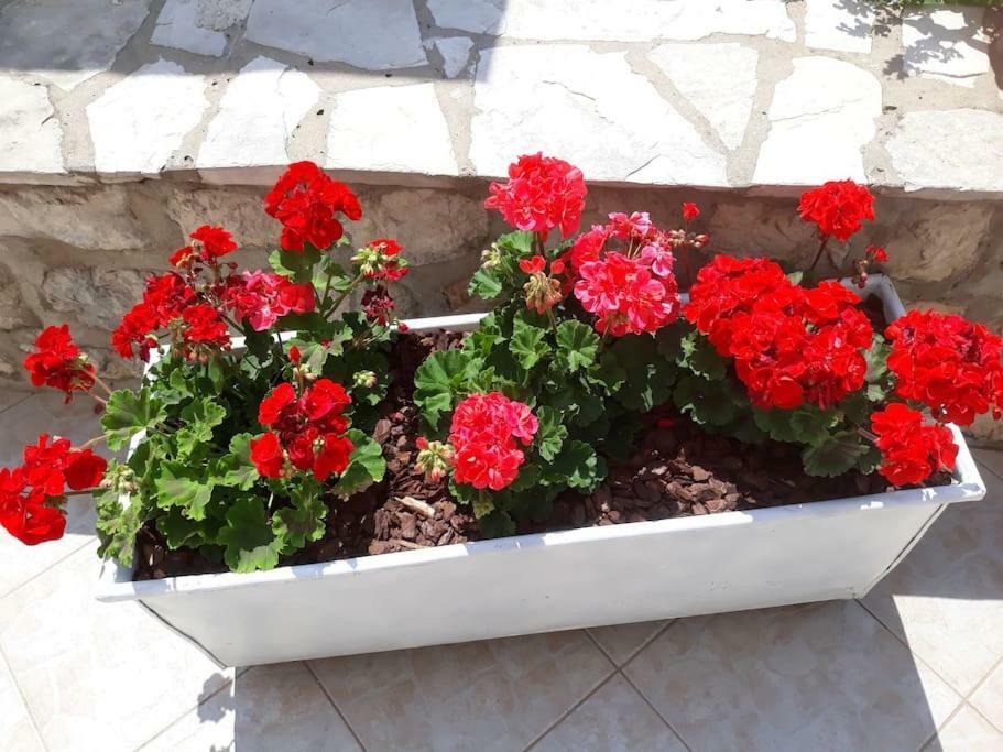 Villa Sweet Home Mokošica エクステリア 写真
